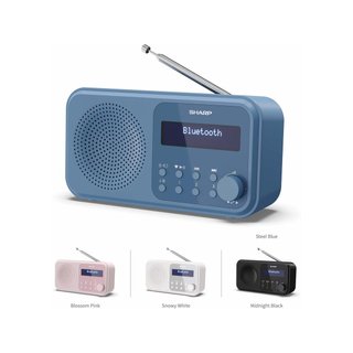 - Sharp DR-P420(BL) radio digital portátil