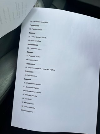 Herbario 87 especies botánicas