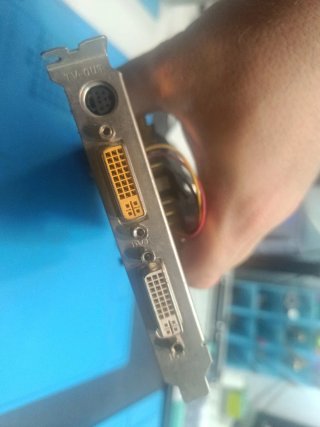 Due schede grafiche ASUS 9800GT pcix DVI
