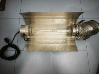 Kit cultivo indoor