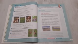 Ciencias de la Naturaleza, 4 Primaria, Revuela