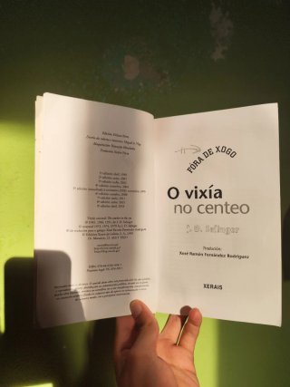 O vixía no centeo