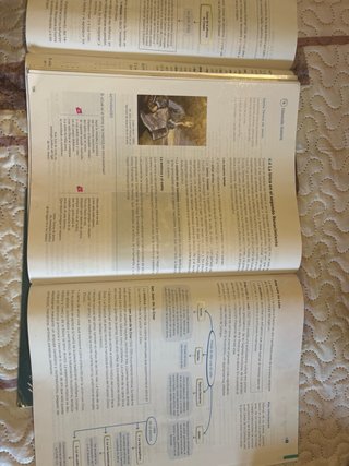 Lengua y literatura 3 ESO