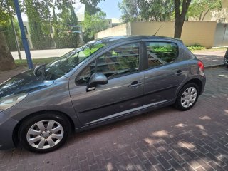 Peugeot 207 2009