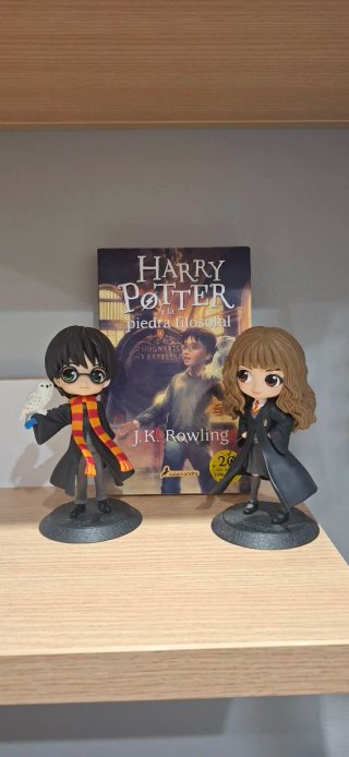 Pack Figuras Harry Potter y Libro