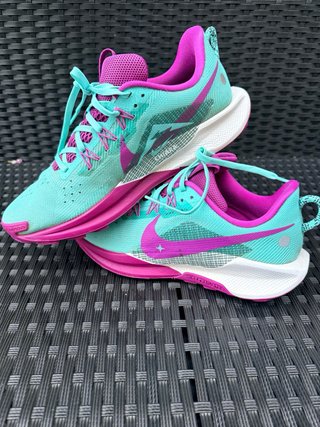 Zapatillas Nike Pegasus Trail 41