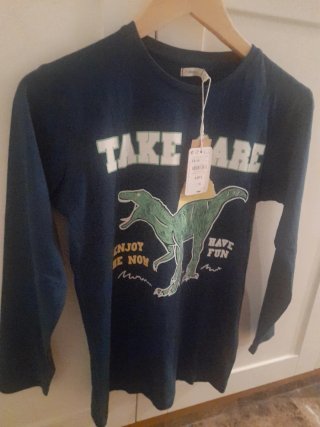 Camiseta Sfera Dinosaurio Talla 13-14