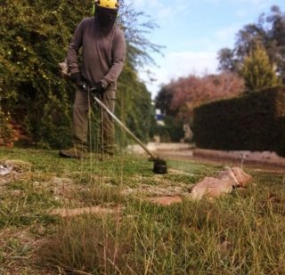 Servicio de jardinería
