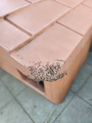 Caseta Perro + Comedero Metálico