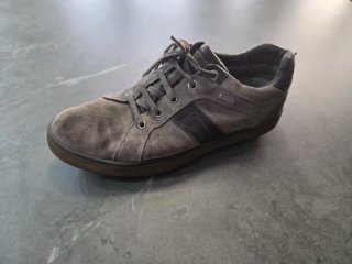 Lote 7 Zapatillas Varias Marcas