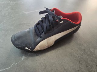 Lote 7 Zapatillas Varias Marcas