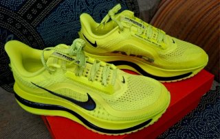Zapatillas nike pegasus premium n°41
