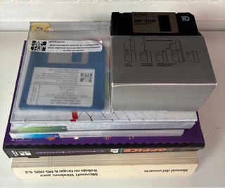 Lote Libros y Disquetes Windows y Office