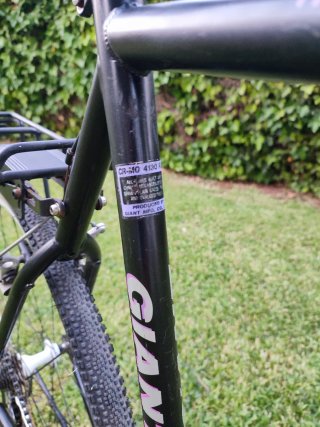 Bicicleta Giant !