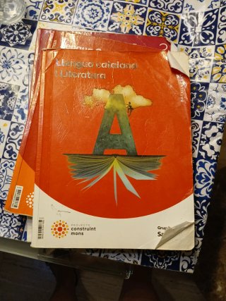 LLENGUA CATALANA I LITERATURA 1 BTX CONSTRUINT ...