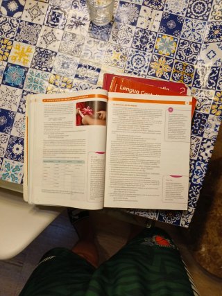 LLENGUA CATALANA I LITERATURA 1 BTX CONSTRUINT ...