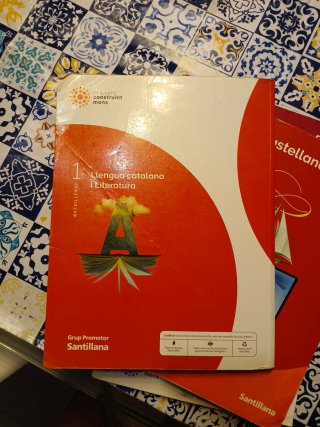 LLENGUA CATALANA I LITERATURA 1 BTX CONSTRUINT ...