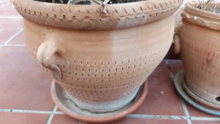 Maceta de barro terracota