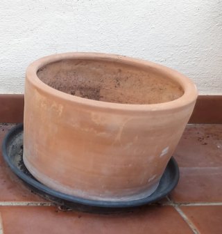 Maceta de barro terracota