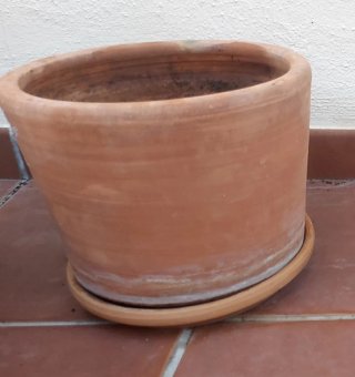 Maceta de barro terracota