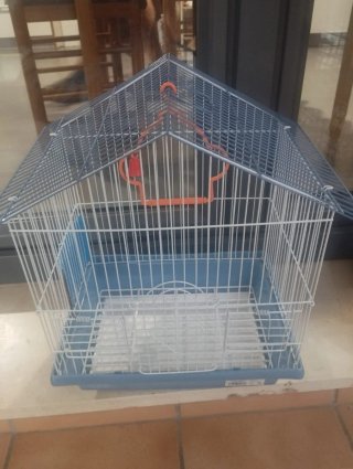 Jaula para canarios