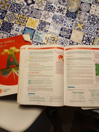 LENGUA CASTELLANA Y LITERATURA SERIE SINTESIS 1...