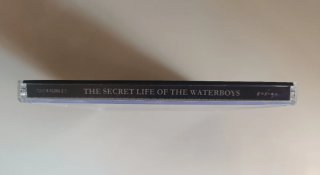 The Waterboys: The Secret Life of 81-85 CD