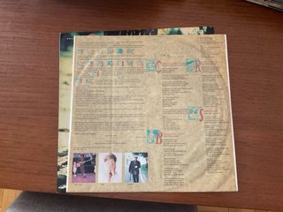 Vinilo Presuntos Implicados - Ser de Agua