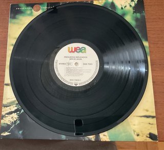Vinilo Presuntos Implicados - Ser de Agua