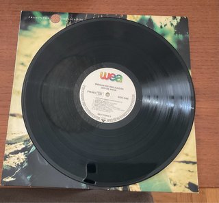 Vinilo Presuntos Implicados - Ser de Agua