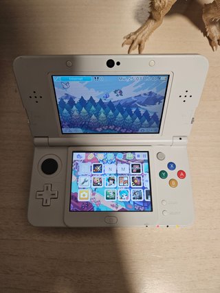 New 3DS Monster Hunter 4