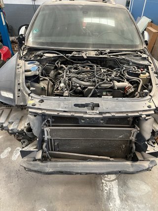 Volkswagen Touareg king kong