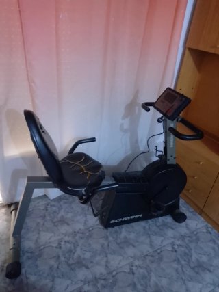 Bicicleta Estática Schwinn 230 Asiento muy cómodo