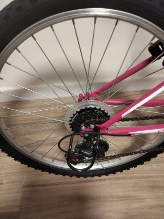 Bicicleta B-pro 24 cambios Shimano