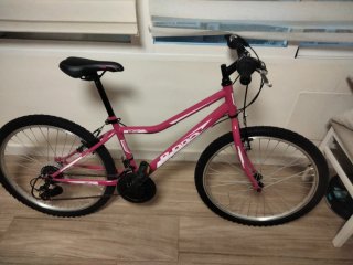 Bicicleta B-pro 24 cambios Shimano
