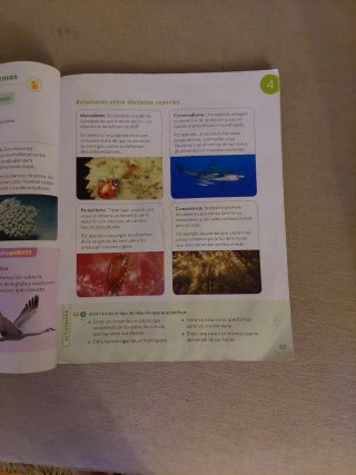 Ciencias de la naturaleza, 3 Primaria