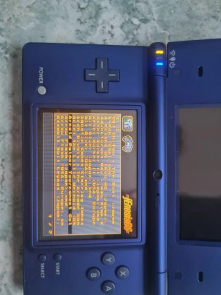 Nintendo DSi Blu + Caricatore
