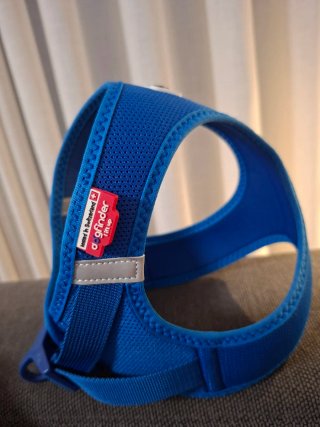 Arnés Curli Azul
