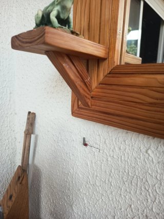 Espejo Artesanal Madera Maciza Rústico