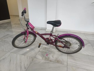 Bicicleta niña 20" morada