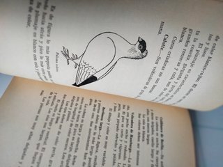 Libro sobre LA PALOMA