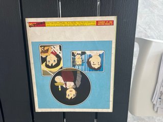 Album figurine Pollyanna Panini vuoto