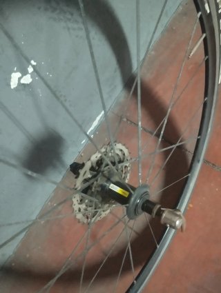 Rueda trasera Mavic,