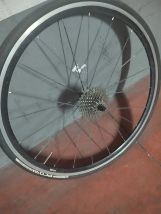 Rueda trasera Mavic,