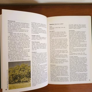 Guia Pràctica de Silvicultura (en Catalán) Alemany