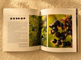 Libro Cocina km 0 Susan Berry
