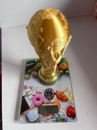Copa del Mundial e imán de nevera