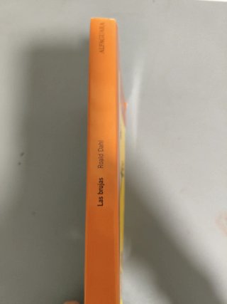 Libro Las brujas