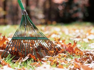 Servicio de jardinería