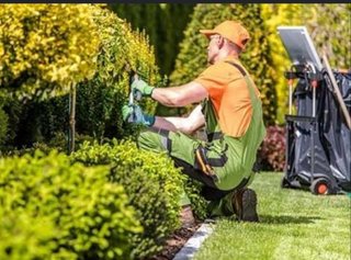Servicio de jardinería